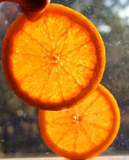 Orange Slice Photo