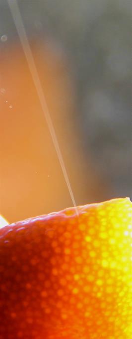 Dapacu Art Photography