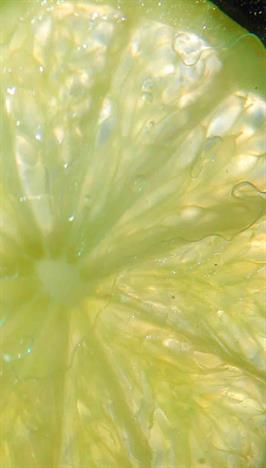 Dapacu Fruit Photography