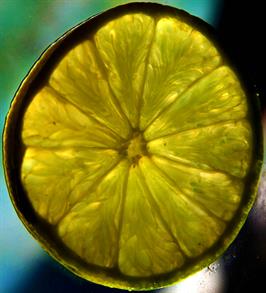 Dapacu Fruit Photography