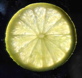 Dapacu Fruit Photography